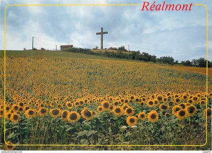CPM Realmont (Tarn) La Croix du Caylou
