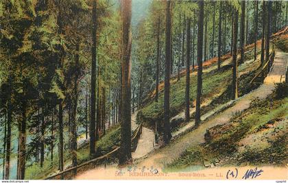 CPA Remiremont Sous Bois