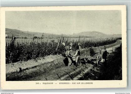 10511129 - Riquewihr