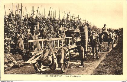 CPA Riquewihr Les Vendanges