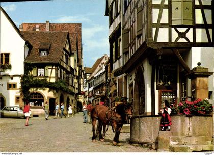 CPM Riquewihr Cheval Attelage