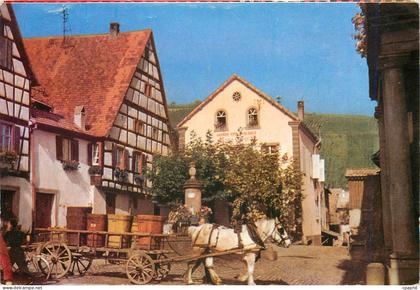 CPM Riquewihr HR