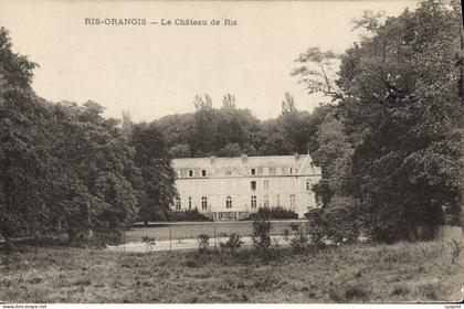 CPA Ris Orangis Le Chateau De Ris