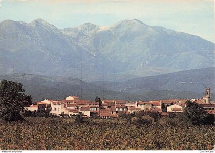 66 RIVESALTES LES VIGNOBLES DE RIVESALTES