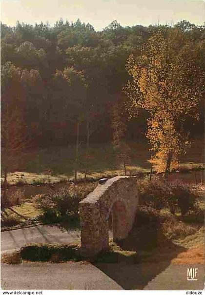 87 - Rochechouart - Le Château - L'ancienne porte d'entrée - Carte Neuve - CPM - Voir Scans Recto-Verso