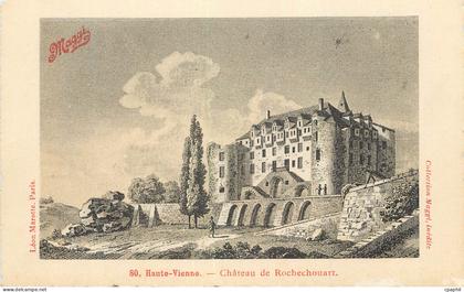 CPA Haute Vienne Chateau de Rochechouart Maggi