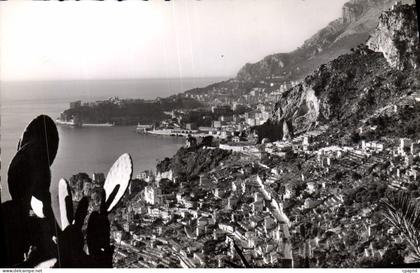 CPM Roquebrune Cap Martin Vue generale Au fond Monte Carlo et le rocher de Monaco