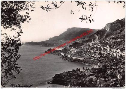 Vue sur Monte-Carlo - Roquebrune-Cap-Martin