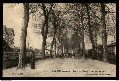 40 Sabres allee arbres