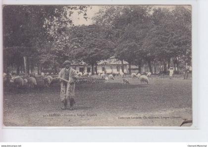 SABRES: ferme et berger landais - état