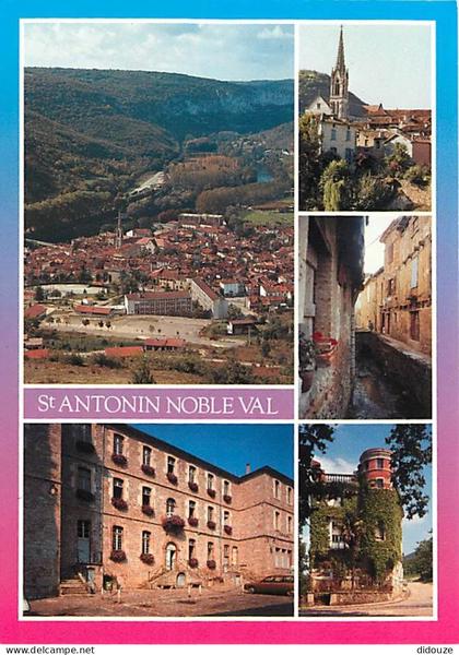Carte Postale - 82 - Saint Antonin Noble Val - Multivues - Automobiles - CPM - Voir Scans Recto-Verso - Poscard - Carta