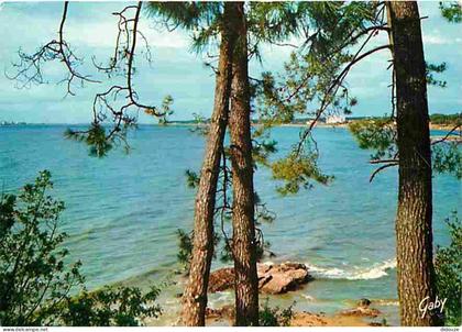 44 - Saint Brévin les Pins - Le Pointeou - Etat pli visible - CPM - Voir Scans Recto-Verso