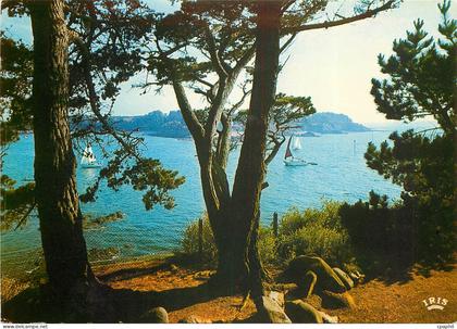 CPSM Saint Briac (Illes et Vilaine)