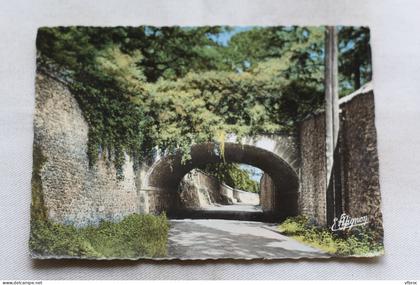 Cpm, Saint Chéron, le pont de la Tuilerie, Essonne 91