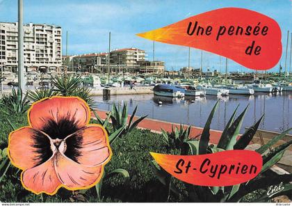 66 SAINT CYPRIEN PORT DE SAINT CYPRIEN