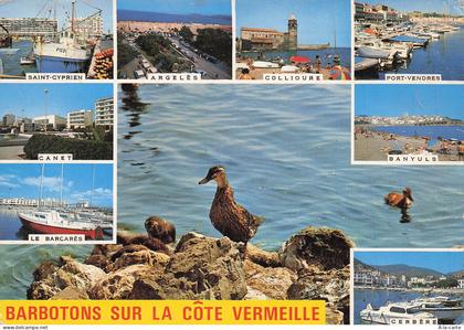 66 SAINT CYPRIEN PORT DE SAINT CYPRIEN