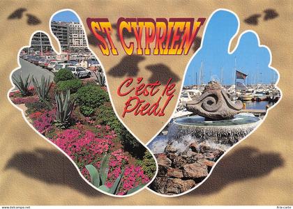 66 SAINT CYPRIEN PORT DE SAINT CYPRIEN