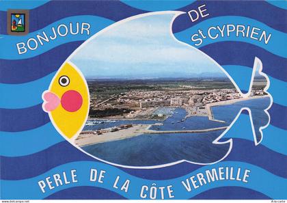 66 SAINT CYPRIEN PORT DE SAINT CYPRIEN