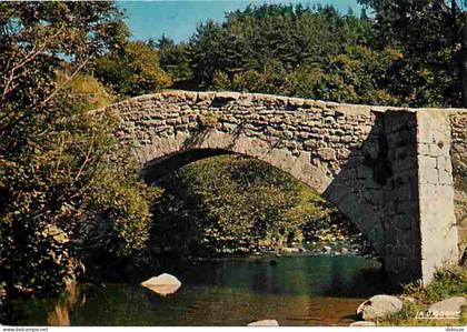 Carte Postale - 43 - Saint Didier en Velay - Le pont de la Clare - La Semene - Vieilles pierres - CPM - Voir Scans Recto