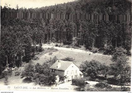 Carte postale ancienne de MAISON FORESTIERE Les MOLIERES ( SAINT DIE )