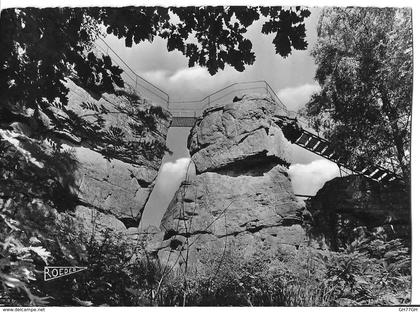 CPA SAINT-DIE -roche saint-martin