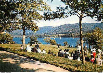 31 - Saint Ferreol - CPM - Voir Scans Recto-Verso