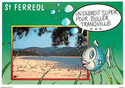 31 - Saint Ferreol - La Plage - CPM - Voir Scans Recto-Verso