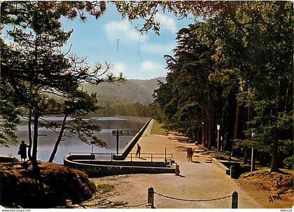 Carte Postale - 31 - Saint Ferreol - CPM - Voir Scans Recto-Verso - Poscard - Carta Postal -  Postkarte