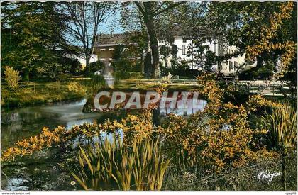 CPM Saint Gaudens Haute Garonne Piece d'eau au Jardin Public