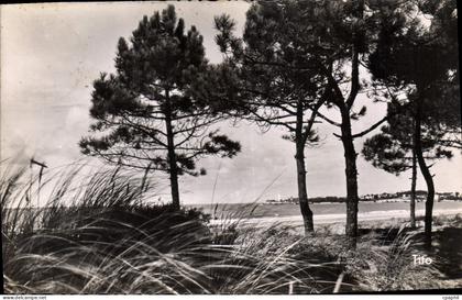 CPA Saint Georges de Didonne L'ins rivant la plage