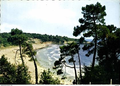 CPM Corniche De Saint Georges de Didonne A Meschers Plage de Suzac