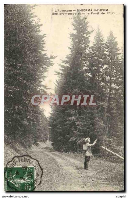 CPA Auvergne St Germain L Herm Une Promenade dans la Foret de l Etat