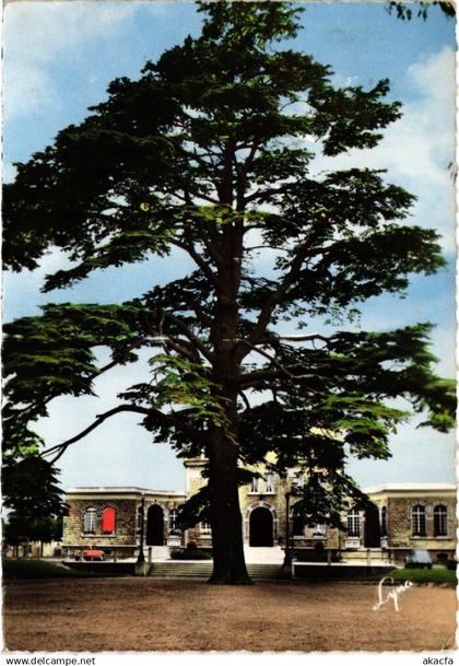 CPM Saint-Gratien Le Cedre FRANCE (1332342)