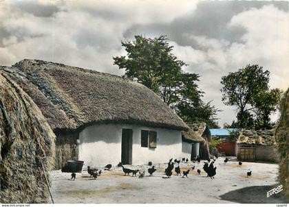 CPM Saint Jean de Monts (Vendee) Une bourine Poules