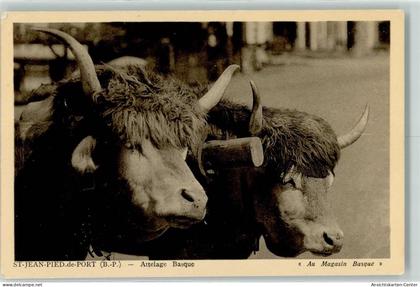 39283903 - Saint-Jean-Pied-de-Port