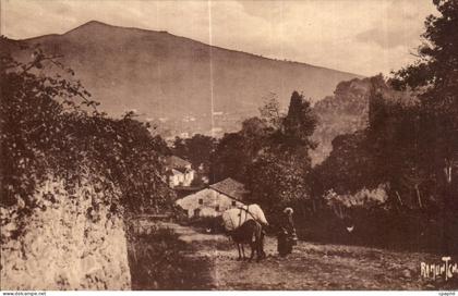 CPA La Montagne a Saint Jean Pied de Port