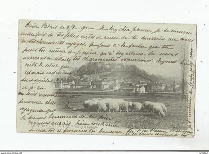 SAINT JEAN PIED DE PORT VUE DE LA CITADELLE (PETIT BERGER ET TROUPEAU) 1901