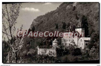 CPA Saint Jeoire Le Chateau De Beauregard