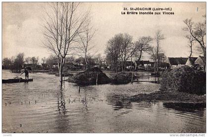 SAINT-JOACHIM : (44) La Brière innondée aux Vinces