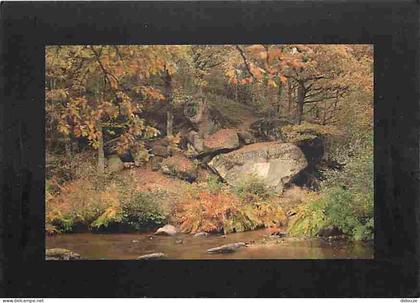 Carte Postale - 87 - Saint Junien - Environs de Saint Junien - Le site Corot - CPM - Voir Scans Recto-Verso - Poscard -