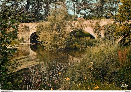 CPM Saint Junien Hte Vienne Le Pont Sainte Elisabeth