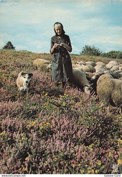 87 SAINT LAURENT SUR GORRE LE LIMOUSIN