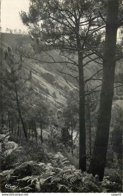 CPA Les Alpes Mancelles Saint Leonard des Bois Sarthe Versant du Haut Fourche