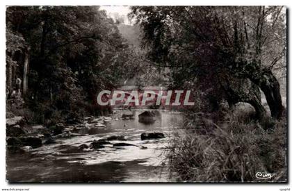 Saint Leonard des Bois - Bords de la Sarthe - CPA