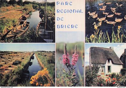 44 SAINT LYPHARD PARC REGIONAL DE BRIERE
