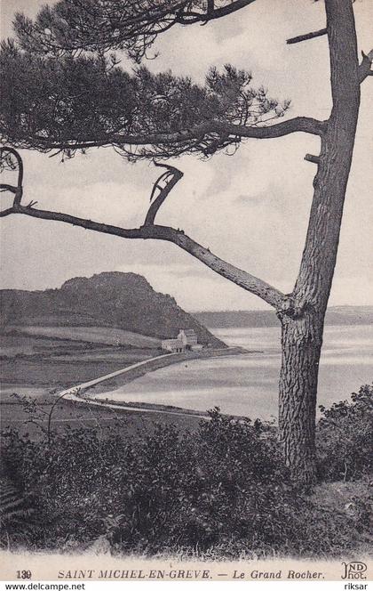 SAINT MICHEL EN GREVE(ARBRE)