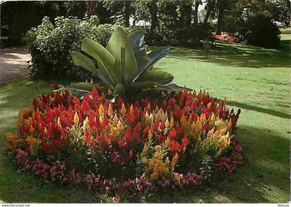 Carte Postale - 44 - Saint Nazaire - Au coeur de la ville les parcs et jardins offrent calme et repos - Fleurs - CPM - V