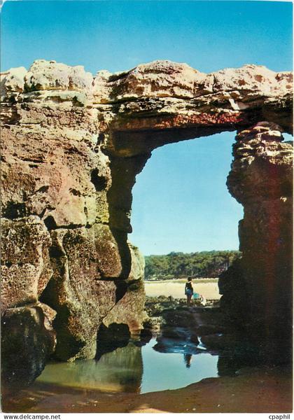 CPM Saint Palais sur Mer Les Pierrieres lePont du Diable