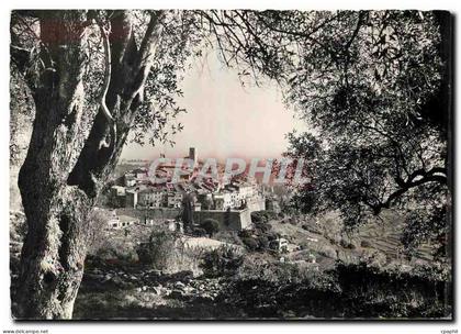 CPM Saint Paul de Vence Vue a travers les oliviers