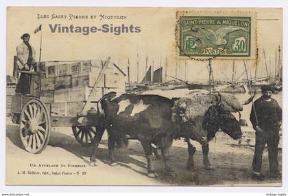 Iles Saint-Pierre Et Miquelon: Un Atterlage St. Pierrais (Vintage PC 1930)
